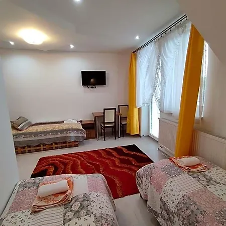 Vysehrad Hotel 2*