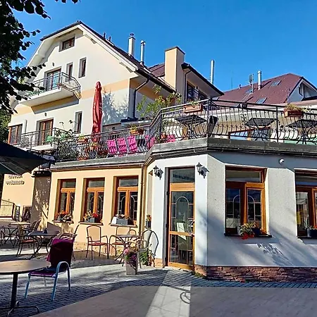 Vysehrad Hotel Turcianske Teplice